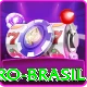 14pg Pro Brasil