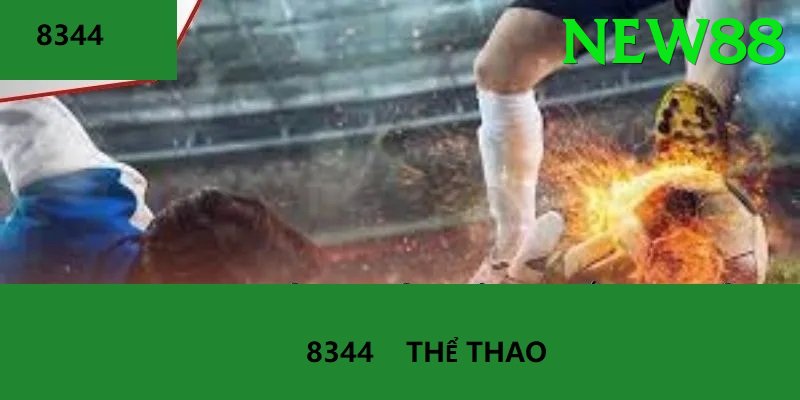 Cá Cược Thể Thao - new88 - Dành cho điện thoại cấu hình thấp